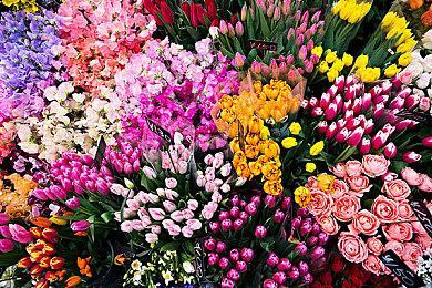 下周部分国家地区无法领取Epic免费游戏 国区不受影响